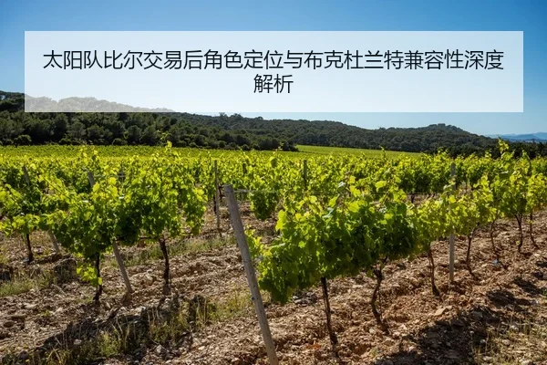 太阳队比尔交易后角色定位与布克杜兰特兼容性深度解析