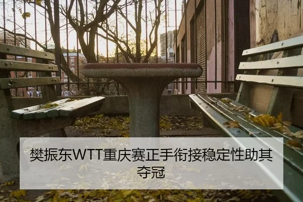 樊振东WTT重庆赛正手衔接稳定性助其夺冠