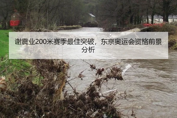 xie-zhen-ye-mi-sai-ji-zui-jia-tu-po-dong-jing-ao-yun-hui-zi-ge-qian-jing-fen-xi-3-134.jpg