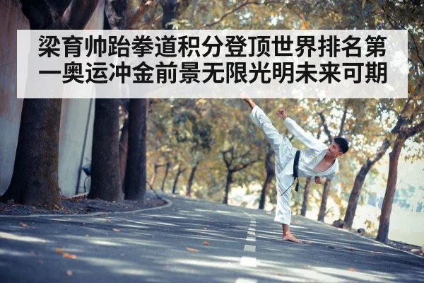 梁育帅跆拳道积分登顶世界排名第一奥运冲金前景无限光明未来可期