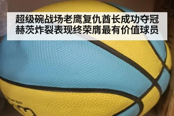 超级碗战场老鹰复仇酋长成功夺冠 赫茨炸裂表现终荣膺最有价值球员